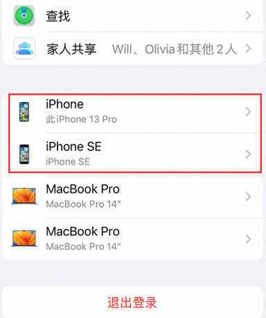 调楼镇苹调楼镇果维修网点分享iPhone如何查询序列号