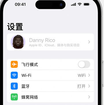 调楼镇appleID维修服务iPhone设置中Apple ID显示为灰色无法使用