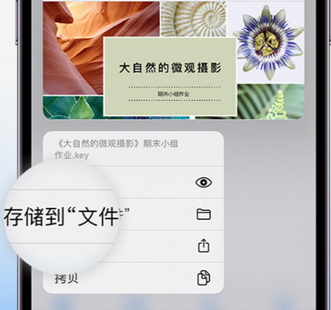 调楼镇apple维修中心分享iPhone文件应用中存储和找到下载文件