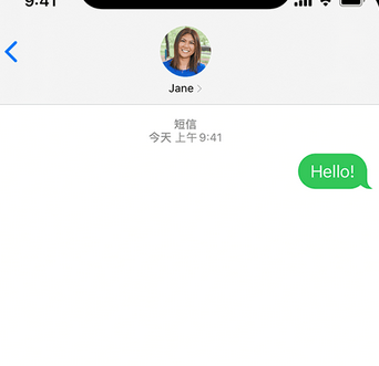 调楼镇apple维修iPhone上无法正常发送iMessage信息