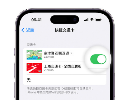 调楼镇apple维修点分享iPhone上更换Apple Pay快捷交通卡手绘卡面 