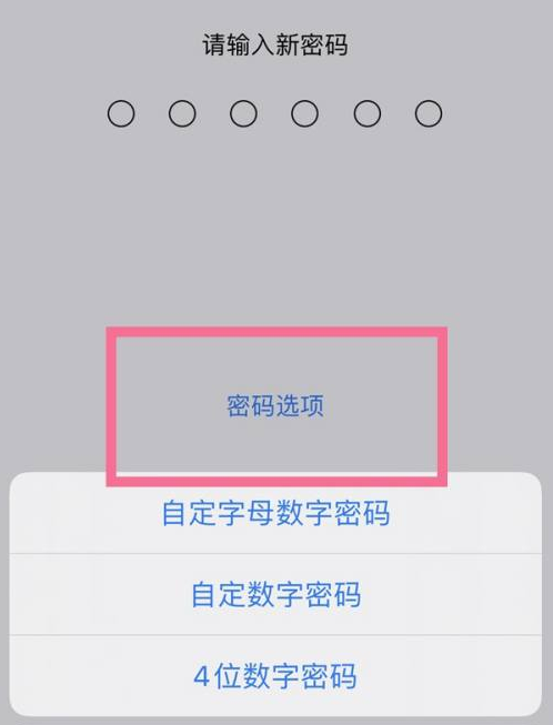 调楼镇苹果14维修分享iPhone 14plus设置密码的方法 