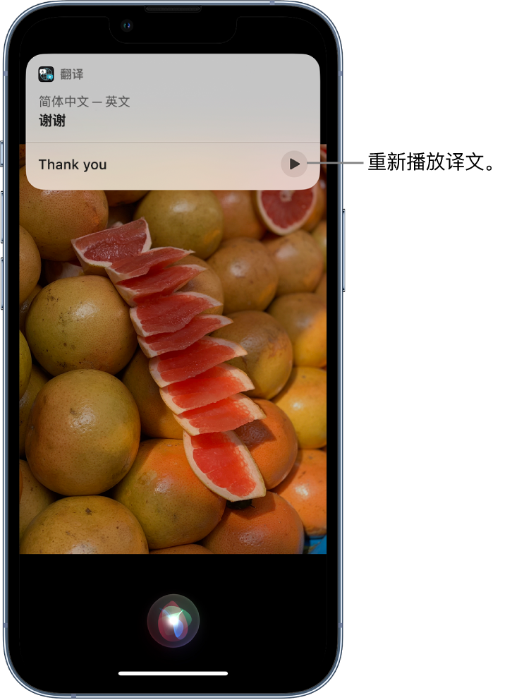 调楼镇苹果14维修分享 iPhone 14 机型中使用 Siri：了解 Siri 能帮你做什么 