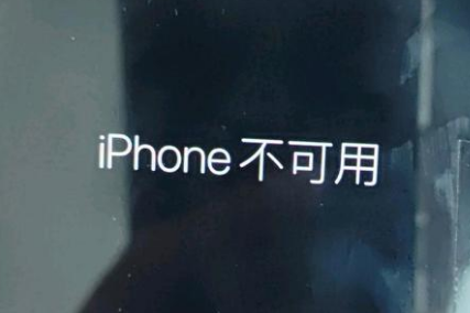 调楼镇苹果服务网点分享锁屏界面显示“iPhone 不可用”如何解决 