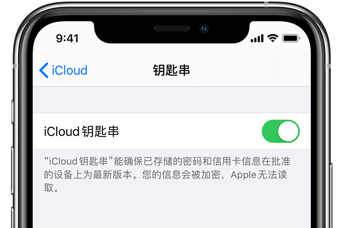 调楼镇苹果手机维修分享在 iPhone 上开启 iCloud 钥匙串之后会储存哪些信息 