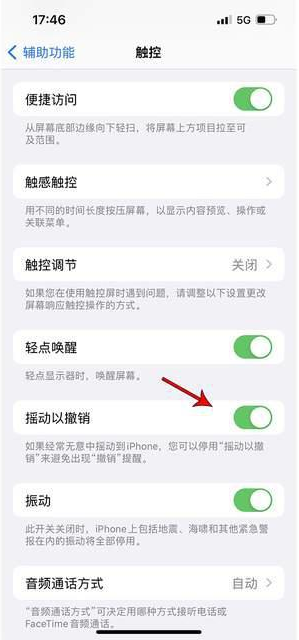 调楼镇苹果手机维修分享iPhone手机如何设置摇一摇删除文字 